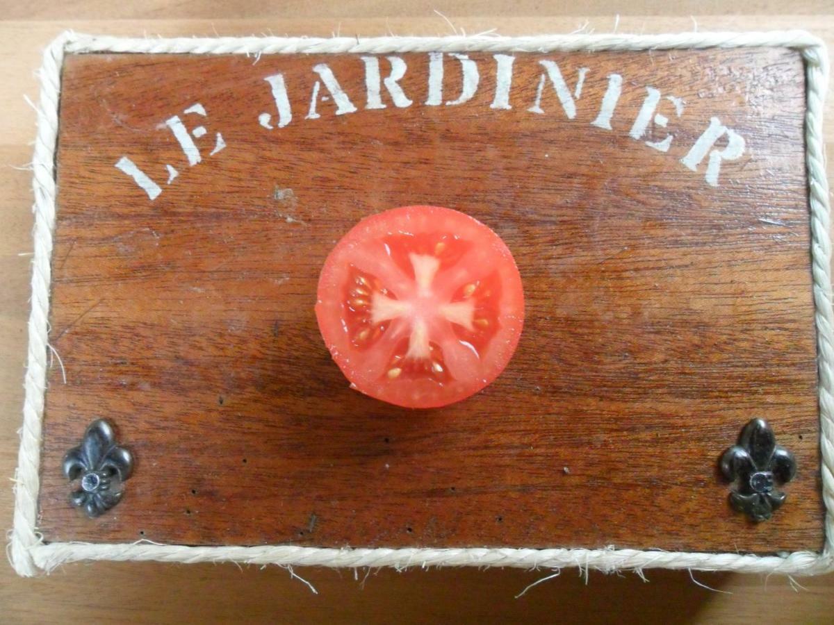Chambres D'Hotes La Turone Cheillé Esterno foto